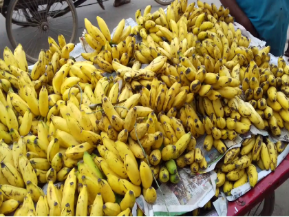 Make sure you don't eat powdered bananas while fasting. | खात्री करून घ्या, उपवासाला पावडरने पिकवलेली केळी तुम्ही खात तर नाही ना ?