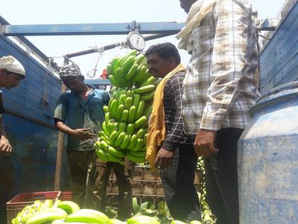 Banana: Within 15 days, the price of banana fell from Rs 2700 to Rs 1100 | Banana: १५ दिवसांतच केळी घसरली २७०० वरून ११०० रुपयांवर आले भाव