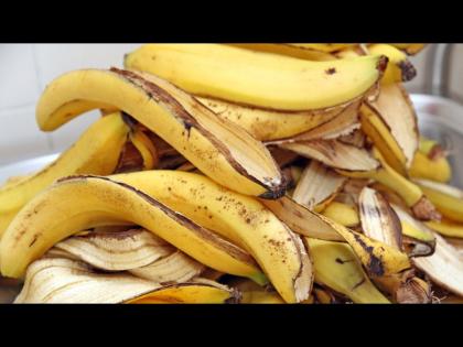 Amazing health benefits of banana peel you should know this | केळीची साल आरोग्यासाठी असते रामबाण, फायदे वाचून व्हाल अवाक्....