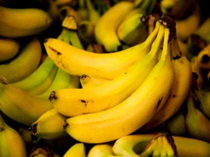 Solapur's banana increased in sweetness in the Gulf; May 80 thousand. Tons of Exports | सोलापूरच्या केळीची आखाती देशात वाढली गोडी; ८० हजार मे. टनाची निर्यात 