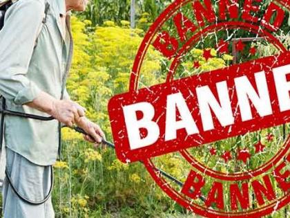 Banning five pesticides; Appeal not to be used | पाच किटकनाशकांवर बंदी; वापर न करण्याचे आवाहन