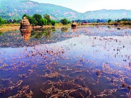 Action on 12 Kharbandi schemes; Including National Hurricane Dangers Prevention Project | बारा खारभूमी योजनांवर कार्यवाही सुरू; राष्ट्रीय चक्रीवादळ धोके निवारण प्रकल्पात समावेश