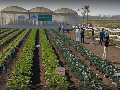 Agricultural universities were excluded from the Barty Fellowship | कृषी विद्यापीठांना बार्टी फेलोशिपमधून वगळले