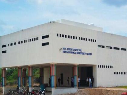 Paul Hebert DNA Barcoding Center in BAMU University is turning out to be a boon for fisheries professionals | मत्स्य व्यावसायिकांसाठी विद्यापीठातील ‘डीएनए बारकोडिंग’ केंद्र ठरतेय वरदान