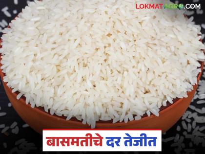 Big increase in demand for basmati rice in the new year; Read which rice is getting what price? | नवीन वर्षात बासमती तांदळाच्या मागणीत मोठी वाढ; वाचा कोणत्या तांदळाला मिळतोय किती दर? Big increase in demand for basmati rice in the new year; Read which rice is getting what price? | नवीन वर्षात बासमती तांदळाच्या मागणीत मोठी वाढ; वाचा कोणत्या तांदळाला मिळतोय किती दर?