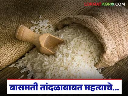 Latest News Apeda nz, kenya courts reject indiasn plea for exclusive basmati rice under TRIPS | Basmati Rice : बासमती तांदळाच्या विक्रीसाठी 'या' दोन देशांनी नकार दिला, काय आहे प्रकरण Latest News Apeda nz, kenya courts reject indiasn plea for exclusive basmati rice under TRIPS | Basmati Rice : बासमती तांदळाच्या विक्रीसाठी 'या' दोन देशांनी नकार दिला, काय आहे प्रकरण