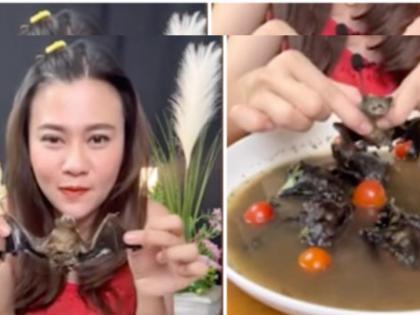 woman-had-bat-soup-get-arrested-in-thailand-see-her-video- | चक्क 'वटवाघूळ' खातीये ही महिला...नंतर काय झाले व्हिडीओ एकदा बघाच