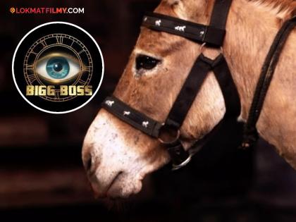 Four-legged animal to participate in 'Bigg Boss 18'?, Know about it | 'बिग बॉस १८' मध्ये सहभागी होणार चार पायांचा प्राणी?, जाणून घ्या याबद्दल