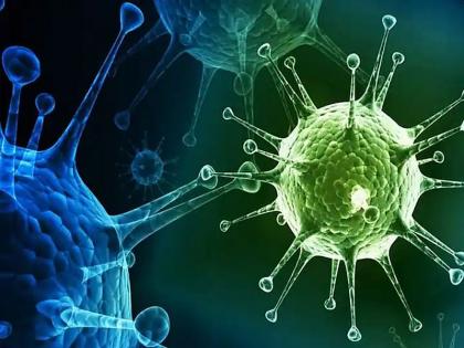 Covid Variant Corona virus is spreading again in the india People infected with XBB.1.16 variant in these 5 states | Covid Variant: देशात पुन्हा हात-पाय पसरतोय कोरोना व्हायरस! या 5 राज्यांमध्ये लोकांना XBB.1.16 व्हेरिअंटची लागण