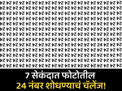 Optical Illusion : Can You Find the Hidden Number 24 in 7 Seconds! | जीनिअस असाल तर शोधून दाखवा फोटोतील 24 नंबर, 7 सेकंदाची आहे तुमच्याकडे वेळ!