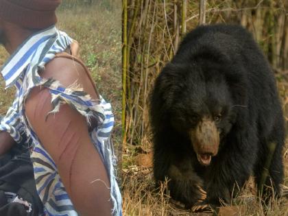 Gram Panchayat employee injured in bear attack, incident at Jangamhatti | अस्वलाच्या हल्ल्यात ग्रामपंचायतीचा कर्मचारी जखमी, जंगमहट्टी येथील घटना