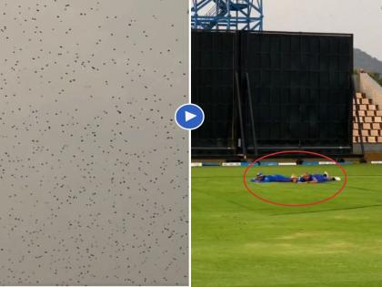 Bee Attack on Mumbai Indians practice session, players lay down on ground, Video Viral  | Bee Attack on Mumbai Indians : मुंबई इंडियन्सच्या सराव सत्रात मधमाशांचा हल्ला, बघा काय झाली खेळाडूंची अवस्था; Video 