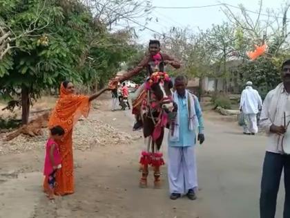 daughter is the box of happiness; The joy of having a daughter, father distributes sweets all over the village on horseback | लेकीचे आगमन, सुखाची चाहूल;मुलगी झाल्याच्या आनंदात बापाने घोड्यावरून गावभर जिलेबी वाटली