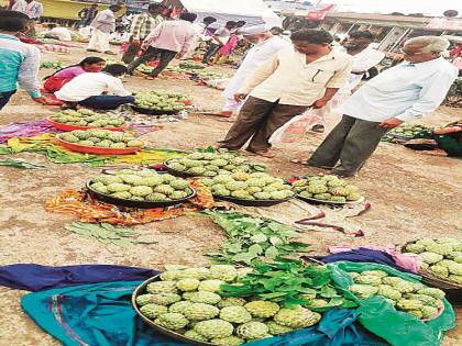 Ranmeva: Week of Sitabhale Dharur, Balaghat, in the market for the process industry | रानमेवा : बालाघाटाच्या डोंगरातील सीताफळे धारुरच्या आठवडी बाजारात, प्रक्रिया उद्योगाअभावी भाव मिळेना 