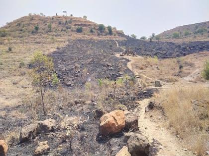 Grass fire in two acres in Sahyadri-Devarai of Beed; Plants safe | बीडच्या सह्याद्री-देवराईत दोन एकरांतील गवताला आग; झाडे सुरक्षित