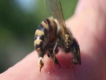 Seven people of the same family injured in bee attack in Sohale | सोहाळेत मधमाशांच्या हल्ल्यात एकाच कुटुंबातील सात जण जखमी