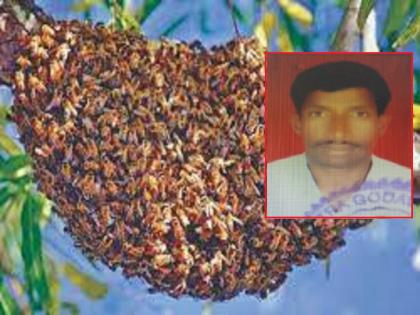 Jumping into the farm lake to escape the from honey bees risked his life; Died by drowning in Jalana | आग्या मोहळापासून वाचण्यासाठी शेततळ्यात उडी मारली, पण माश्यांनी वरच येऊ दिले नाही