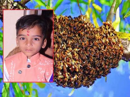 Toddler dies in honey bees attack; The only support of the divyang parents was taken away | आग्या मोहोळाच्या हल्ल्यात चिमुकल्याचा मृत्यू; गतिमंद आई-वडिलांचा  एकमेव आधार हिरावला