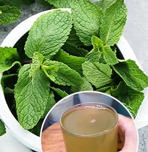 त्वचेवर ग्लो हवा, वजनही कमी करायचंय? पुदिन्याच्या पानांचा खास उपाय, फिट राहाल- सुंदर दिसाल