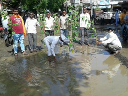 Shameless trees planted in potholes on the road | रस्त्यावरील खड्ड्यात लावली बेशरमी झाडे