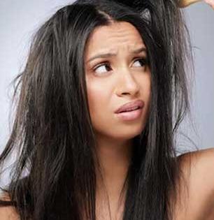 शहनाज हुसेन सांगतात, केसांसाठी ३ मॅजिकल ऑईल! केसांवर करतात जादू - डॅमेज केसही होतील सुंदर...