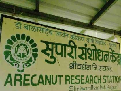 Betel nut research center at Diveagar: Fund sanctioned Rs.5 crore 64 lakh | दिवेआगर येथे सुपारी संशोधन केंद्र : ५ कोटी ६४ लाख रुपये निधी मंजूर