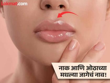 What is the name of space between nose and lips | नाक आणि ओठाच्या मधल्या जागेला काय म्हणतात? ९९ टक्के लोकांना माहीत नसेल उत्तर!