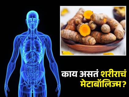 What is Metabolism? These foods help you stay increase metabolism and keep you active | शरीराचं मेटाबॉलिज्म कमी झालं तर शरीरात वाढते चरबी, लगेच करा 'हे' खास उपाय!