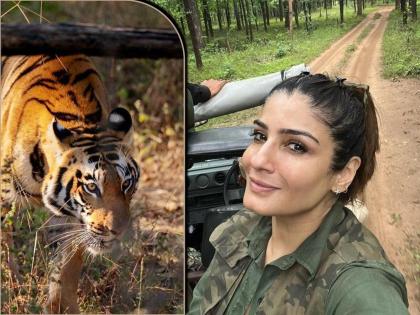 Raveena Tandon Gets Cub Named After Her In Kanpur Zoo Actress Sends Heaters To Tiger Baby To Beat Winters | Raveena Tandon : जे बात! नाव ठेवलं ‘रवीना’, छोट्या वाघिणीला दिलं रवीना टंडनचं नाव, कारण आहे खास