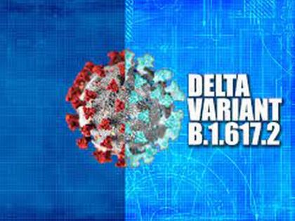 Over a hundred Delta Plus patients in the state; 35 Patient infeced after Vaccination pdc | Corona Virus: राज्यात कोरोना लस घेतलेल्या 35 जणांना डेल्टा प्लसची लागण