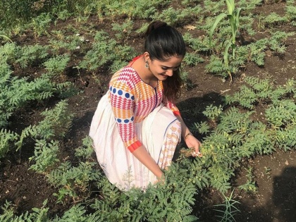 Bhagyashree mote doing farming | ही मराठी अभिनेत्री दिसली चक्क शेतात वावरताना, सोशल मीडियावर फोटोची चर्चा