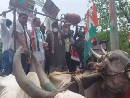 keshav upadhye criticize congress over leaders collapses from bullock cart while protesting | “तोल सांभाळा! ...अन्यथा राज्याच्या राजकारणातही काँग्रेस कोसळेल”; ‘त्या’ घटनेवरून भाजपचा टोला