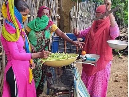 In Gadchiroli, the women of the self-help group got employment by selling vegetables on bicycles | गडचिरोलीत बचतगटाच्या महिलांनी सायकलवर भाजीपाला विकून मिळविला रोजगार