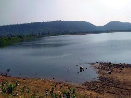 Rain disappears; Only 15.57 per cent water storage in 63 projects, condition of Mama lakes is deplorable | पाऊस बेपत्ता; ६३ प्रकल्पात केवळ १५.५७ टक्के जलसाठा, मामा तलावांची स्थिती दयनीय