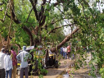  Bhandara district has been hit by bad weather again | भंडारा जिल्ह्याला पुन्हा अवकाळीचा फटका; सात घरांची पडझड, १२ हेक्टरमधील पिकांची नासाडी