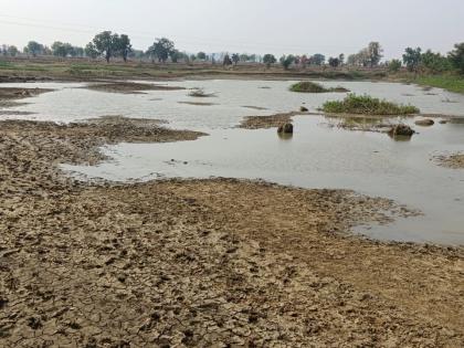 lakes dry fishing business in crisis not even getting the lease money | तलावांना कोरड, मासेमारी व्यवसाय संकटात; लीजचा पैसाही मिळेना