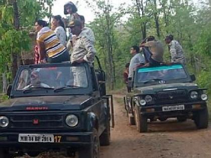 Abusive treatment to tourists by female gypsy driver during jungle safari at navegaon nagzira tiger reserve | जंगल सफारीदरम्यान महिला जिप्सी चालकाने घातला गोंधळ; पर्यटकांना मनस्ताप