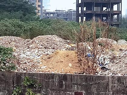 Waste Empire in Wetlands | पाणथळ जागेत कचऱ्याचे साम्राज्य