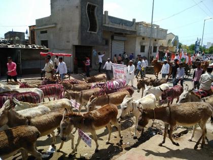 Bharat Bandh: Congress has taken dikkar morcha;agitators comes with donkeys, horses and bullocks against the fuel price hike at Gangakhed. | Bharat Bandh : गंगाखेड येथे इंधन दरवाढी विरोधात गाढव, घोडे, बैलगाड्यासह कॉंग्रेसने काढला धिक्कार मोर्चा 