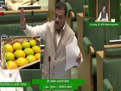 'स्वाभिमानाने जगणारा कोकणातला शेतकरी आज चिंतेत', वलसाड हापूसवरून भास्कर जाधव आक्रमक