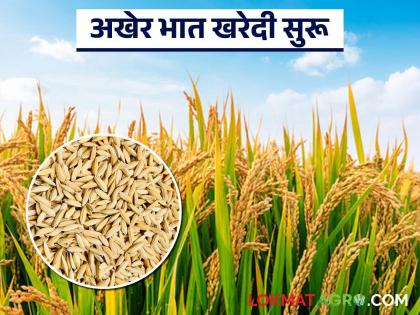 After many days of waiting, rice procurement finally starts in 46 centers; money will be received within two days | बऱ्याच दिवसांच्या प्रतीक्षेनंतर अखेर ४६ केंद्रांमध्ये भाताची खरेदी सुरू; आता दोन दिवसांतच पैसे मिळणार After many days of waiting, rice procurement finally starts in 46 centers; money will be received within two days | बऱ्याच दिवसांच्या प्रतीक्षेनंतर अखेर ४६ केंद्रांमध्ये भाताची खरेदी सुरू; आता दोन दिवसांतच पैसे मिळणार
