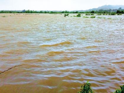 Paddy under water in Murud | मुरुडमध्ये भातशेती पाण्याखाली