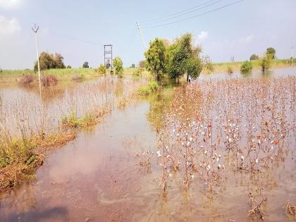 Jaikwadi inflatable water crop; Water also entered the house | जायकवाडीच्या फुगवट्याचे पाणी पिकात; घरातही शिरले पाणी