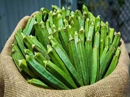 How does 20 rupees okra become 100 rupees per kg? | २० रुपयांची भेंडी १०० रुपये किलो कशी होते?