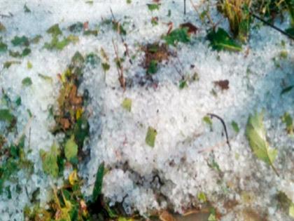 Untimely blow to Vidarbha; Hailstorm in Ramtek taluka, huge damage to crops | विदर्भाला अवकाळीचा फटका; रामटेक तालुक्यात गारपीट, पिकांचे प्रचंड नुकसान