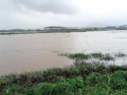 Flooding broke out, but paddy was under water | भिवंडीत पूर ओसरला, मात्र भातशेती पाण्याखाली