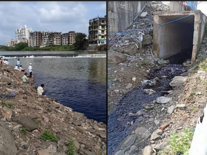 Kamwari and Ulhas rivers in Bhiwandi have been polluted due to release of hazardous chemicals into the riverbed | घातक रसायने नदीपात्रात सोडल्याने भिवंडीतील कामवारी व उल्हास नदी झाली प्रदूषित