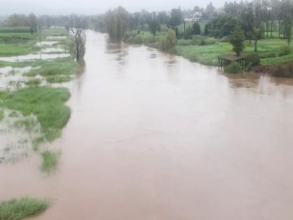 four taluka including Shirol rain exceeded June average In Kolhapur district, 7 dams under water | कोल्हापूर जिल्ह्यात दमदार पाऊस; शिरोळसह चार तालुक्यांनी ओलांडली जूनची सरासरी, ७ बंधारे पाण्याखाली