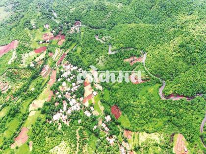 The beauty of Bhuibawda Ghat, tourists flock to enjoy summer tourism  | Sindhudurg: पावसाच्या सरी, सोसाट्याचा वारा अन् धुक्याची पळापळ; भुईबावडा घाटातील सौंदर्य खुलले