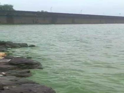 pune news The water of Bhatghar dam in Bhor taluka suddenly turned green | भोर तालुक्यातील भाटघर धरणाच्या पाण्याला अचानक चढला हिरवा रंग